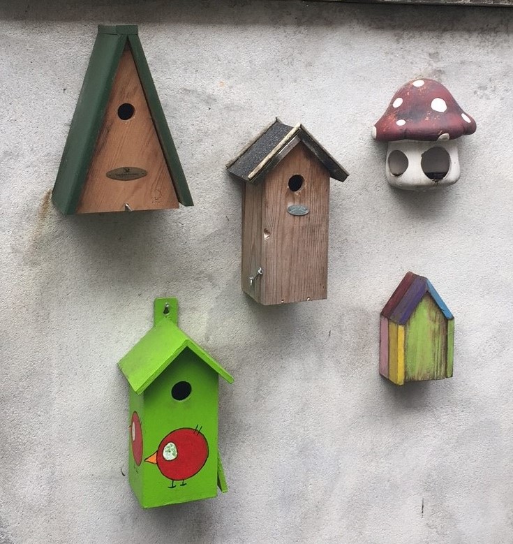 Afbeelding bij Opname